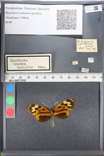 Media type: image;   Entomology 106195